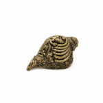 Classic Pavitra Brass Shankh