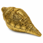 Grand Pavitra Brass Shankh