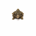 Mini Dhairya Brass Tortoise III