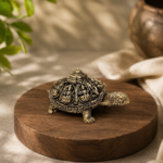 Mini Dhairya Brass Tortoise III