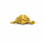Mini Dhairya Brass Tortoise II