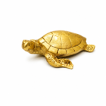 Mini Dhairya Brass Tortoise II
