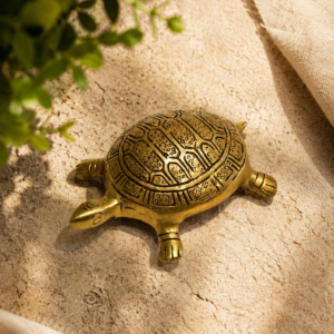 Mini Dhairya Brass Tortoise