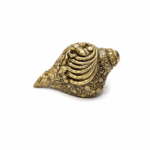 Mini Pavitra Brass Shankh