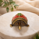 Mini Kachhap Tortoise