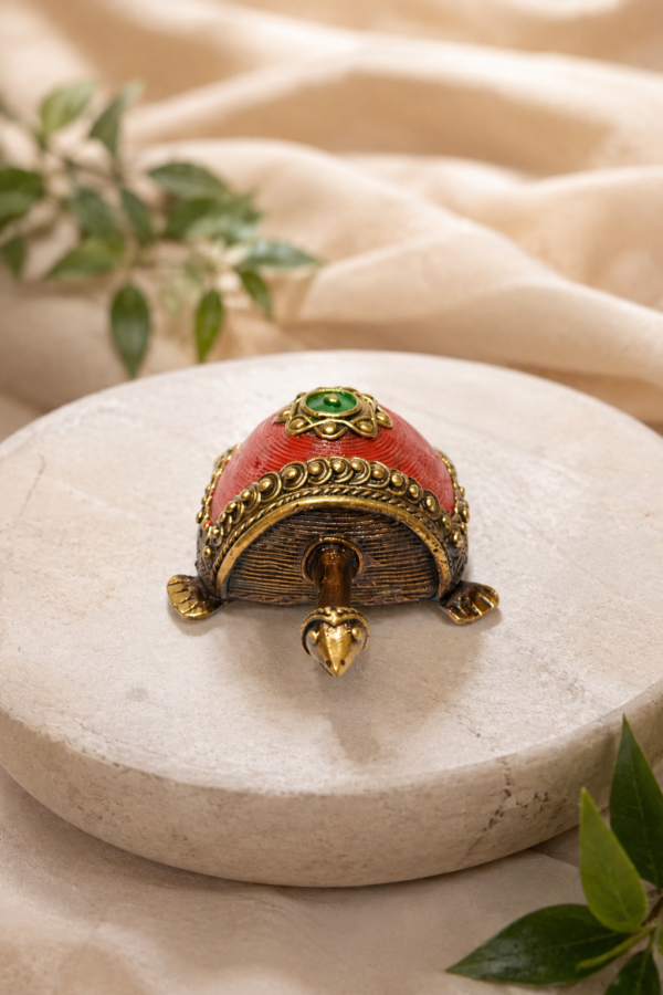 Mini Kachhap Tortoise
