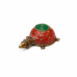 Mini Kurma Tortoise