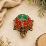 Mini Kurma Tortoise